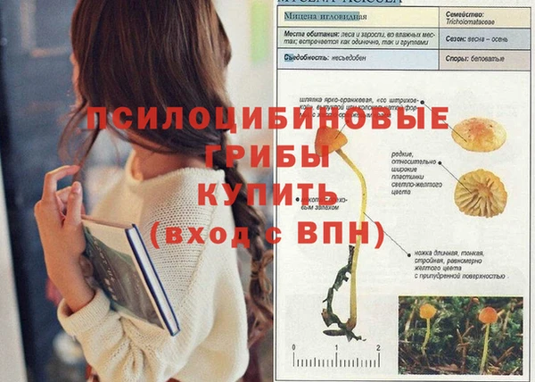 Альфа ПВП Сафоново