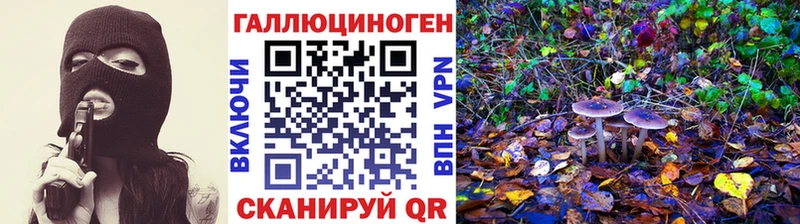 даркнет сайт  Троицк  Псилоцибиновые грибы Psilocybine cubensis 